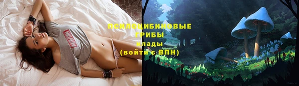 apvp Баксан