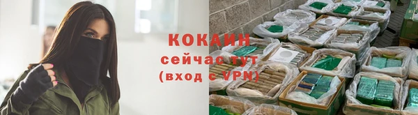 мяу мяу мука Балабаново