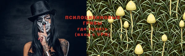 мяу мяу мука Балабаново