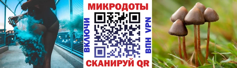 Галлюциногенные грибы ЛСД  даркнет сайт  Балашов 